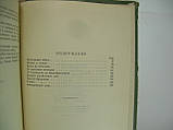 Поздневши А. Творці вітчизняної зброї (б/у)., фото 9