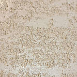 Декоративна штукатурка Травертин Travertino In Polvere Naturale 15кг, фото 2