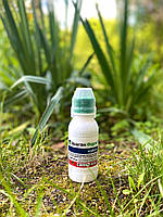 Гербіцид Ураган Форте 100мл (Оригінал) системний післясходовий проти однорічних та багаторічних бур'янів