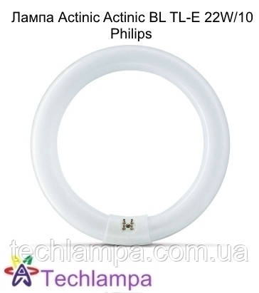 Лампа Actinic Actinic BL TL-E 22W/10 Philips