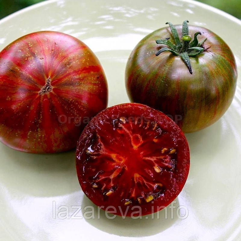 Насіння томату Насіння від Лазарєвих Блек Страйп 0,1 гр (15-30 насінин)
