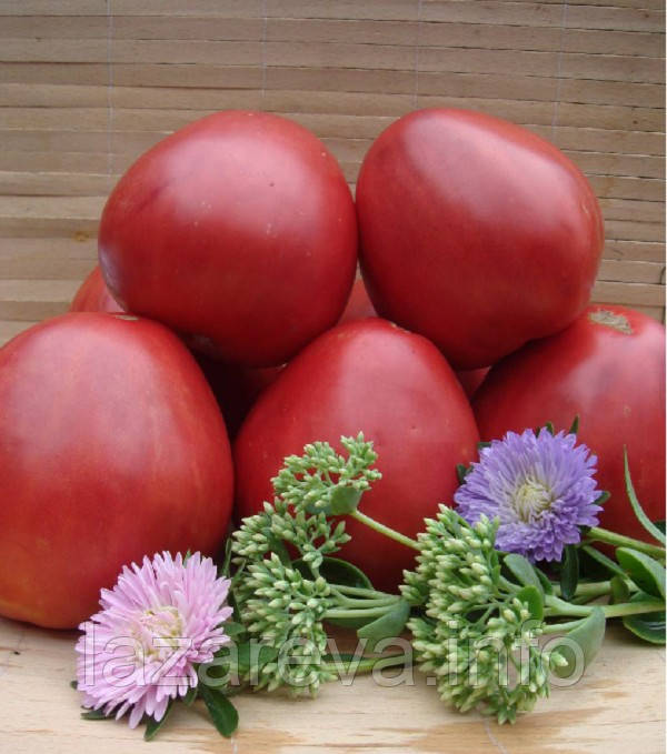 Насіння томату Вельможа 15 шт, фото 1