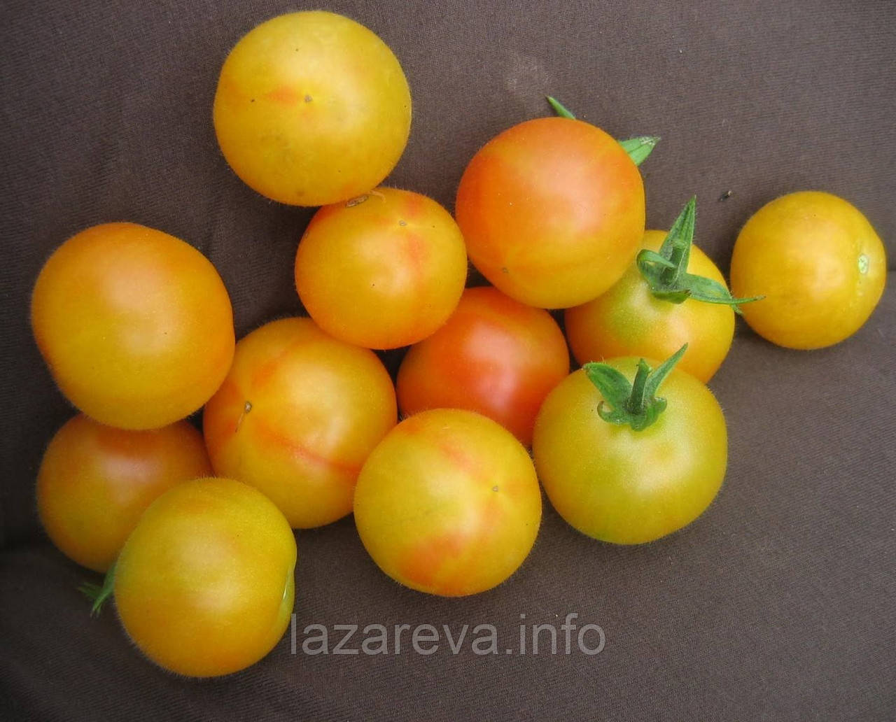 Насіння томату Насіння від Лазарєвих Чарівний Марізол 15 насінин