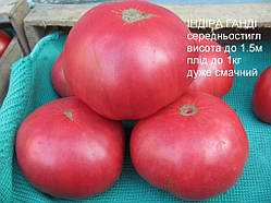Насіння томату Насіння від Лазарєвих Індіра Ганді 30-60 насінин