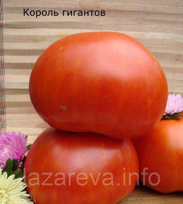 Насіння томату Король гігантів 60 насінин, фото 1