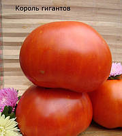 Насіння томату Насіння від Лазарєвих Король гігантів 30-60 насінин