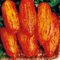 Насіння томату Насіння від Лазарєвих Перцевидний полосатий 30-60 насінин