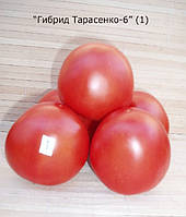 Насіння томату Насіння від Лазарєвих Тарасенко-6 30-60 насінин