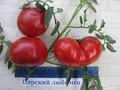 Насіння томату Насіння від Лазарєвих Царський улюбленець 30-60 насінин