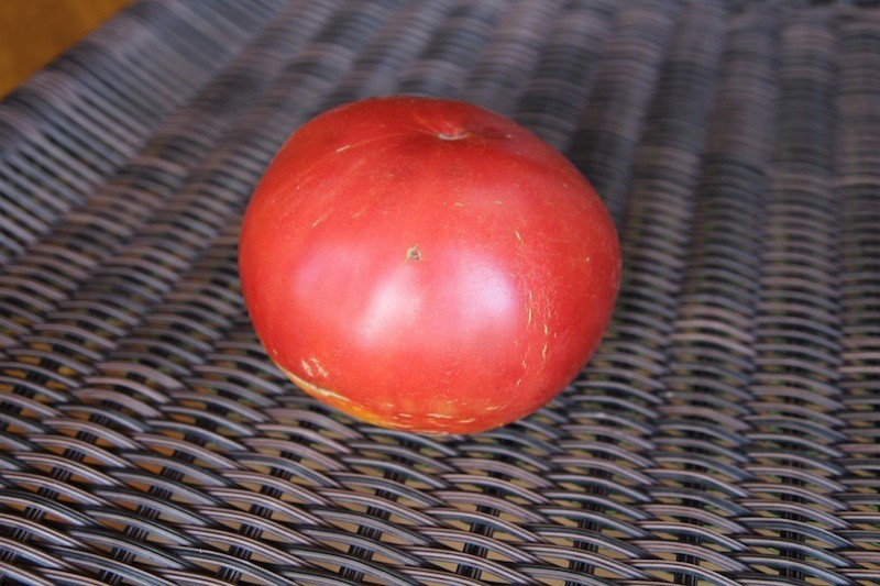 Насіння томату Велика Ведмедиця 30 нас, фото 1