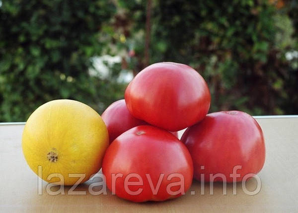 Насіння томату Чорноморський гігант 30 нас, фото 1