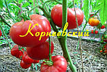 Насіння томату Корніївський 30 нас, фото 2
