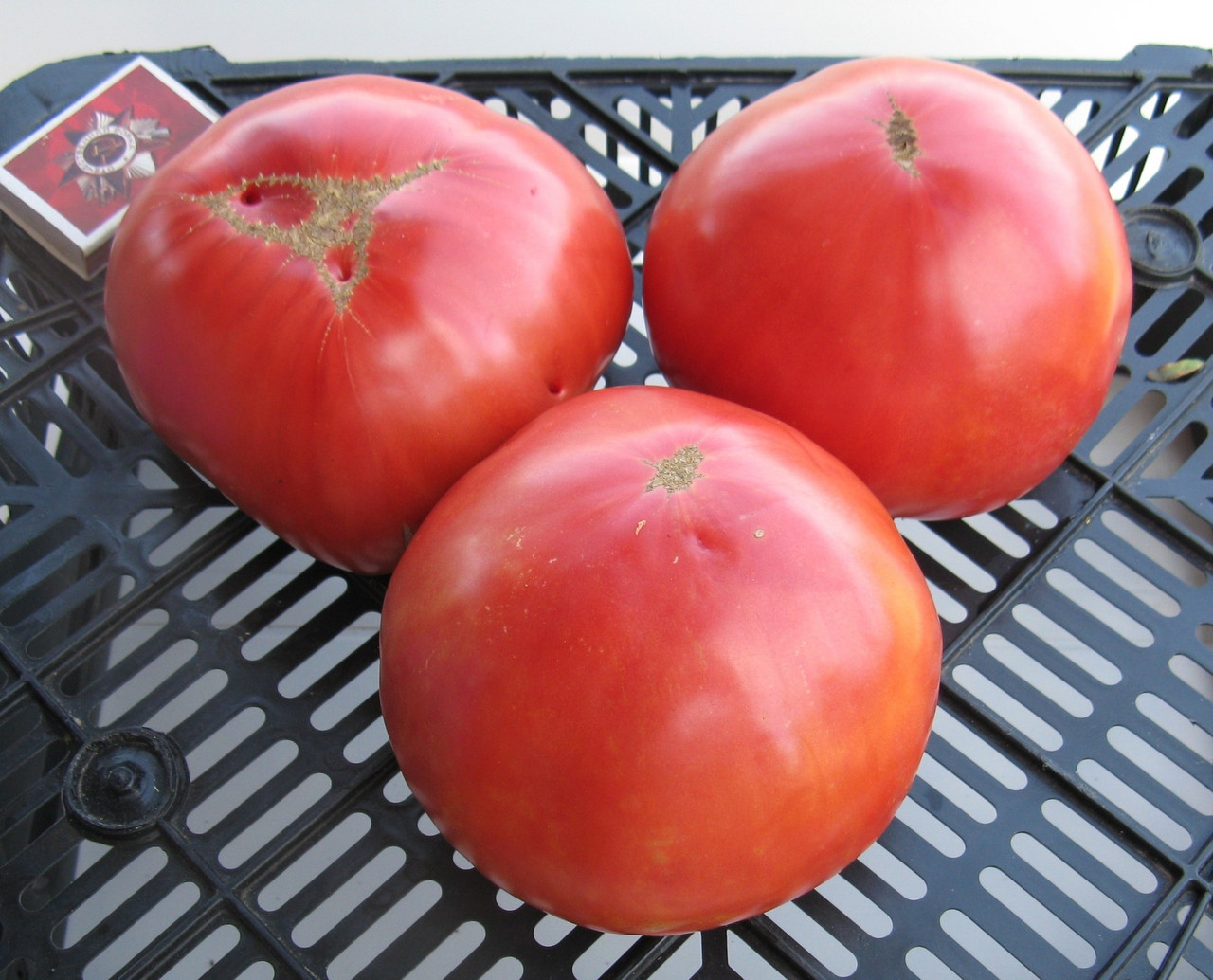 Насіння томату Містер Андервуд 30 нас, фото 1