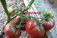 Семена томата Семена от Лазаревых Черномор 0,1 гр (15-30 семян)