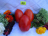Насіння томату Насіння від Лазарєвих Де-барао гігант 0,1 гр (15-30 насінин), фото 2