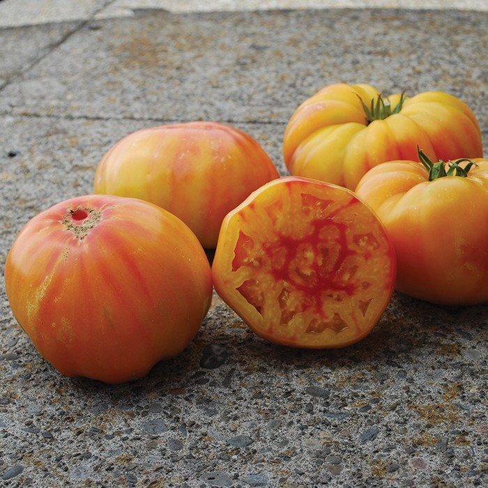 Насіння томату Вірджинії солодощі 30 нас, фото 1