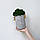Оригінальне бетонне кашпо L зі стабілізованим темно-зеленим мохом від "Артіс Грін", без поливу та догляду!, фото 3