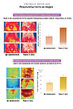 Розігрівальні патчі для схуднення DAILY SLIM 42 °C, Корея 96 см*16,5 см, фото 2