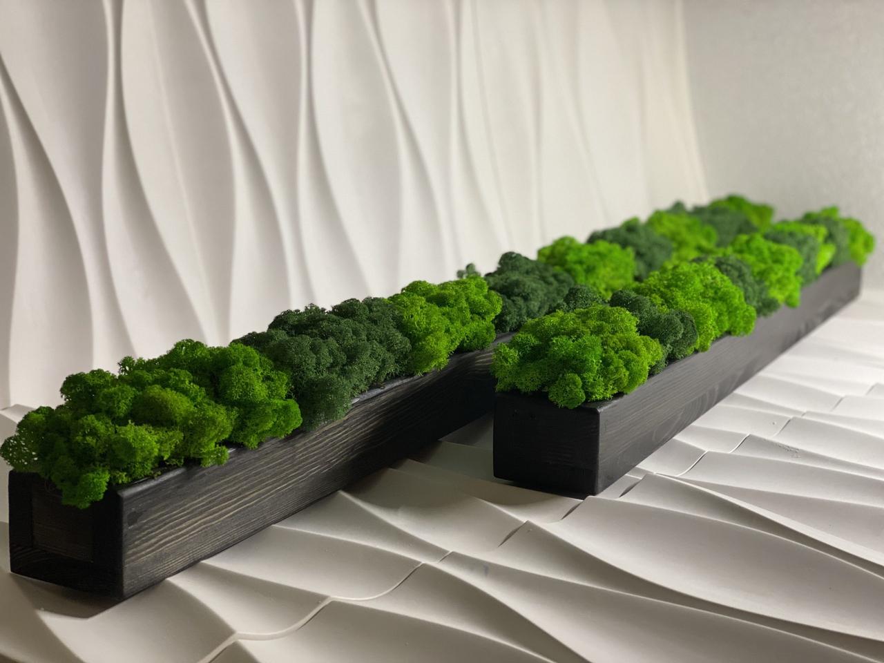 Дерев'яний кашпо зі стабілізованим мохом 150см .Мох на дереві.Декор для будинку і офісу.Декор з дерева