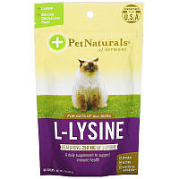 Pet Naturals of Vermont, L-лізин для котів (для імунтету)