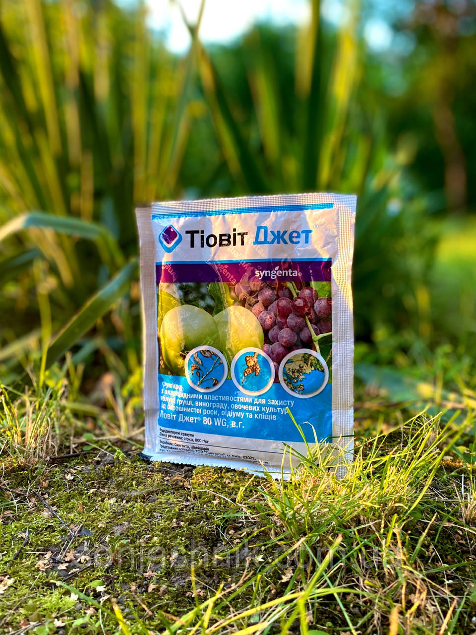 Тіовіт Джет 40гр