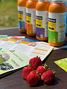 Аграрії України обирають іспанські органічні біостимулятори Egrow