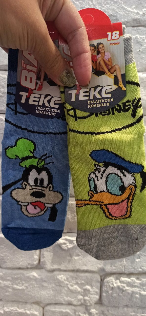 Шкарпетки дитячі. Р12,14,15. Демисезон, фото 1