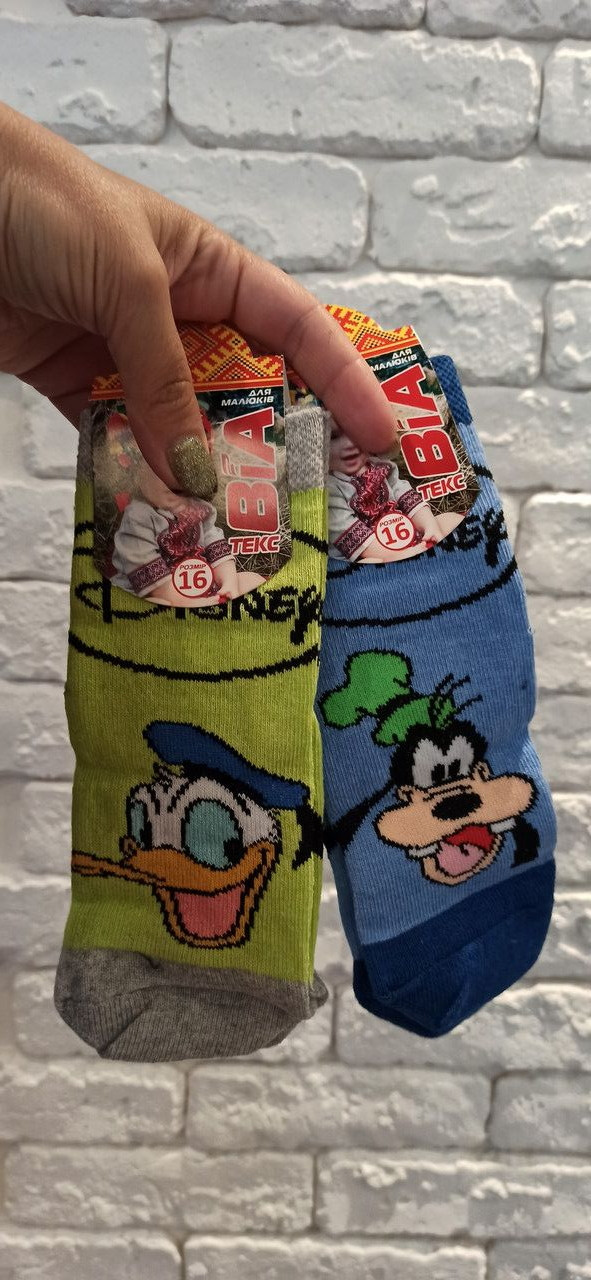 Шкарпетки дитячі, р16. демісезонні, фото 1