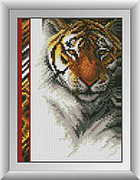 30254 Королевский тигр. Dream Art. Набор алмазной живописи (квадратные, полная)