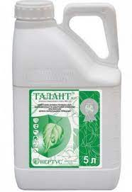 Прилипач Талант, в. р. Нертус, фото 1