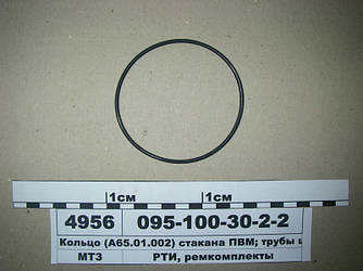 Кільце 095-100-30-2-2 (А65.01.002) (склянки ПВР; труби шкворня) (пр-во Рось-Гума) 095-100-30-2-2