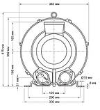 Компрессор для бассейна Grino Rotamik SKH 300 DS (312 м³/ч) 3,4 кВт / 380 В, фото 6