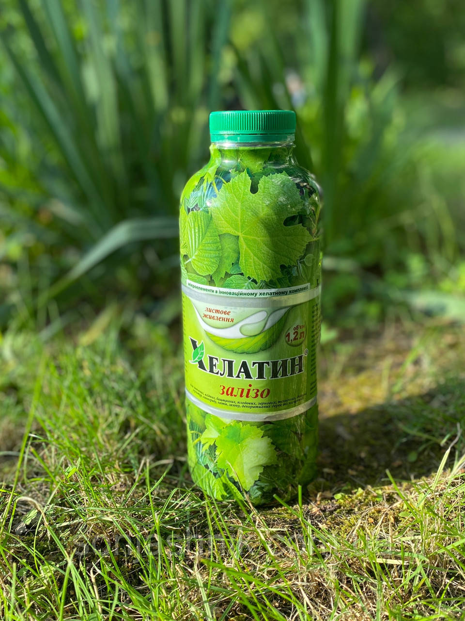 Хелатин Залізо 1,2 л - добриво, мікроелементи в хелатній формі