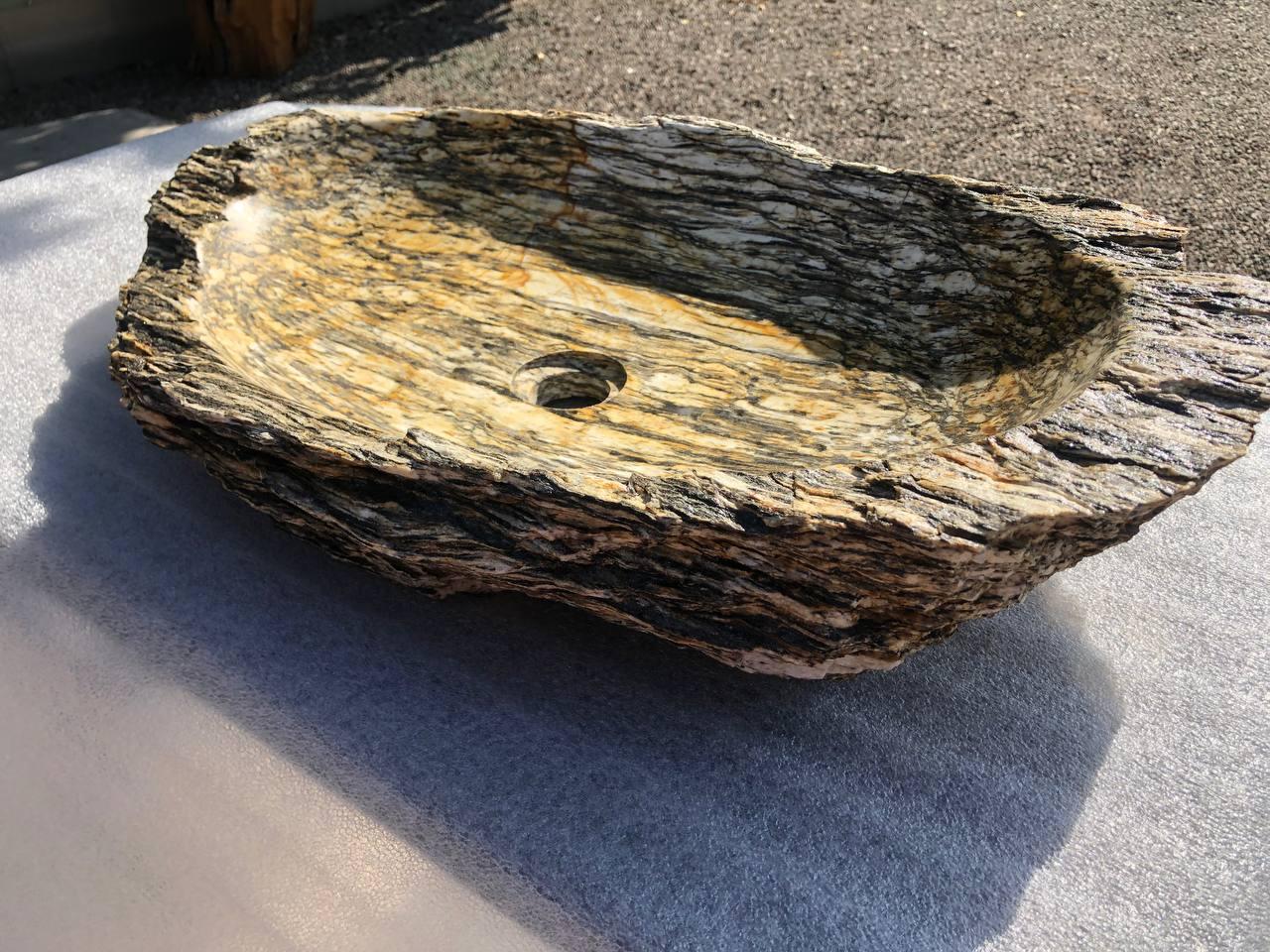 Раковина зi скам'янілого дерева Stone tree 2