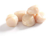 Гребінець морський 40/60