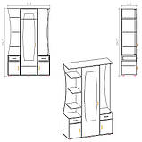 Передпокою Компаніт Тетяга Німфея альба, фото 2