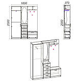 Передпокою Компаніт Тамара Німфея альба, фото 2