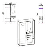 Передпокій Компаніт Аліса Німфея альба, фото 2