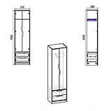 Передпокій Фаїна Яблуня (08934), фото 2