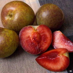 Саджанці Сливи Дабл Денді (Плуот) - середньо-пізнього, врожайна, диплоидная