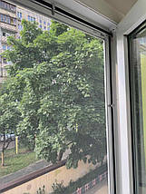 Москітні сітки, фото 3