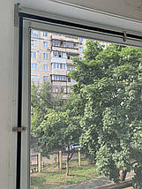 Москітні сітки, фото 2