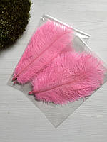 Пір'я рожеве 15-20 см (5 шт.)