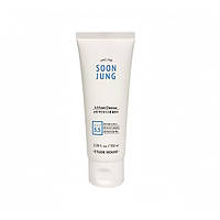 Пенка для умывания Etude House Soon Jung 5.5 Foam Cleanser (100 мл)