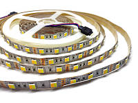 Світлодіодна стрічка 12В 1м AVT-300W+WW-5050-12 SMD 5050 60 LED/m IP20 білий + теплий