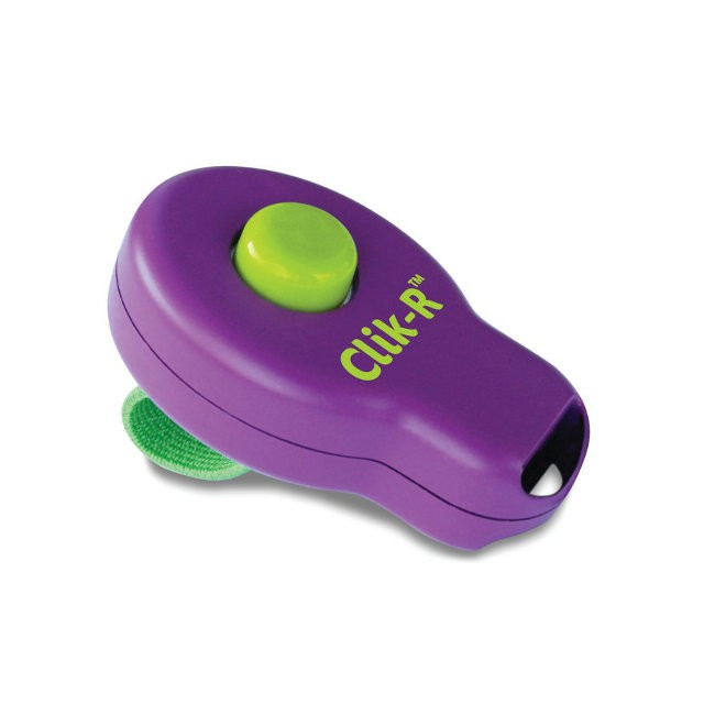 Іграшка для дресирування собак PetSafe Click-R Clicker Training (ПЕТСЕЙФ КЛІКЕР), фото 1