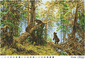 Схема Ранок у сосновому бору ТП-016 для вишивання  на тканині картина (Барвиста Вишиванка)