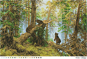 Схема Ранок у сосновому бору ТП-015 для вишивання  на тканині картина (Барвиста Вишиванка)