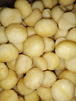 Горіх макадамія очищений 1 кг.