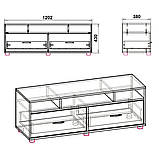 Тумба під ТВ Компанит Плазма Дуб Сонома (Tmbt-298), фото 2